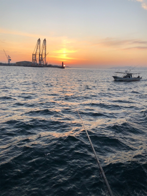 渋いショアジギ