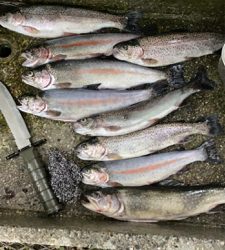 栃木総合運動場プール