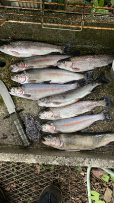 栃木総合運動場プール