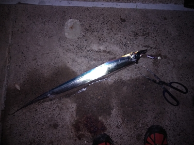 渋い中、何とか功を制す