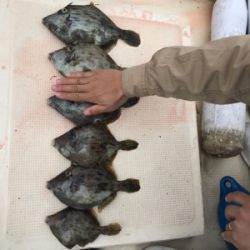 紀北で五目釣り