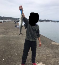 三国突堤ジギング 、穴釣り