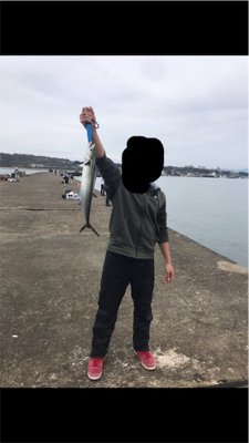 三国突堤ジギング 、穴釣り