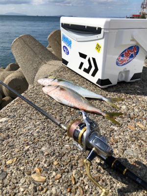 暇つぶしライトショアジギ