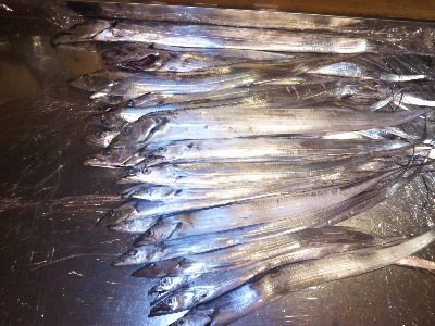 バイキング６時間