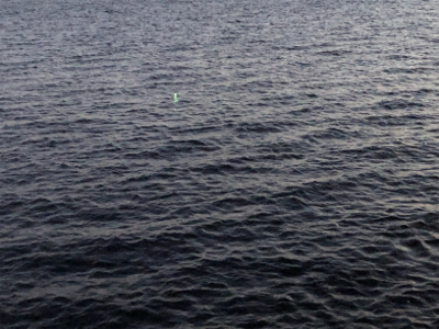 連日のホームタッチー調査