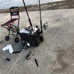 これぞショアプラッキング!!