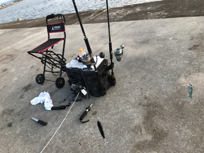 これぞショアプラッキング!!