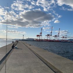 爆風の中ポーアイ釣行