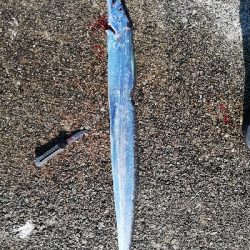 スランプ脱出。