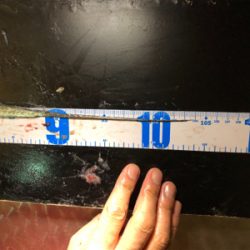 右も左もドラゴン