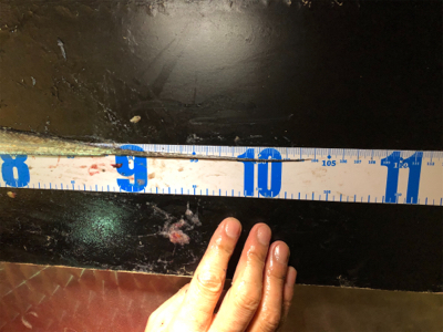 右も左もドラゴン