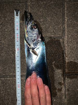 今日は大当たり