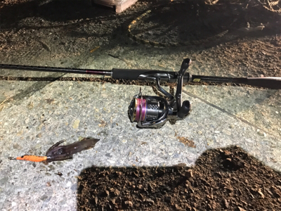 ナブラまみれの朝マズメ。