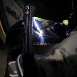 太刀魚とツバス