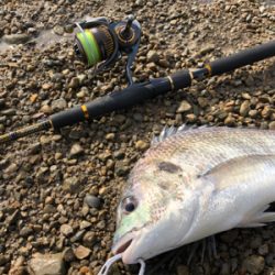 のんびりデイゲーム