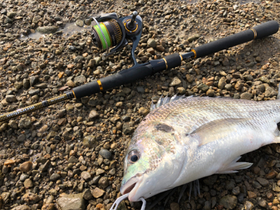 のんびりデイゲーム