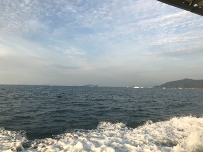 タチウオジギング