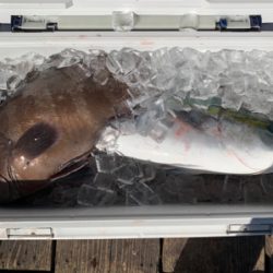 釣堀 水宝さんにて