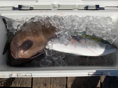 釣堀 水宝さんにて