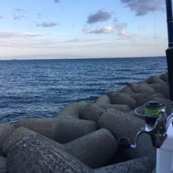 狙いの魚種と釣果があべこべ?