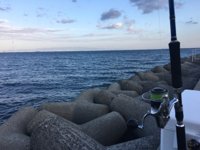 狙いの魚種と釣果があべこべ?