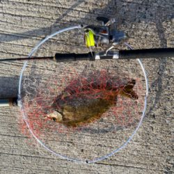 天気が良く気持ち良かったです。