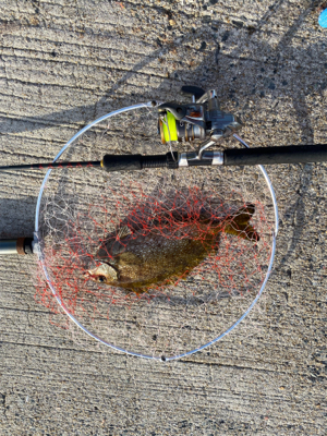 天気が良く気持ち良かったです。