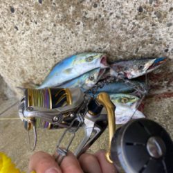 ショアジギング