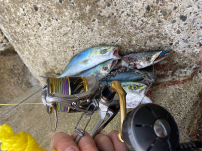 ショアジギング