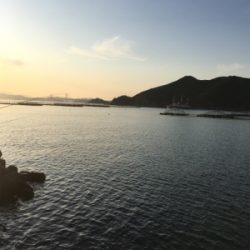 淡路島かるーい釣り