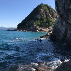 グレフカセ釣り