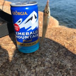 キス釣り渋い(><)…嬉しい外道GET!