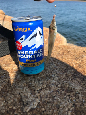 キス釣り渋い(><)…嬉しい外道GET!