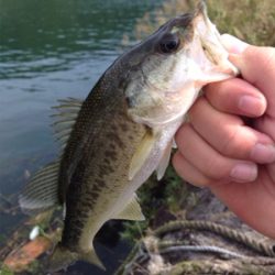 初の沖島釣行！