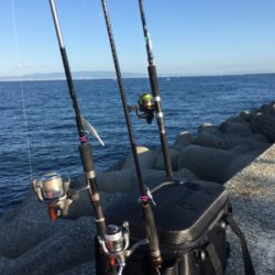 気温も釣果も寒い