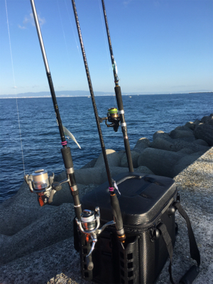 気温も釣果も寒い