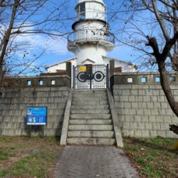 トップ青物。秋終盤。