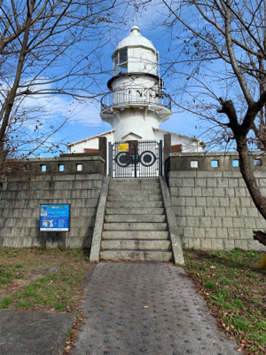 トップ青物。秋終盤。