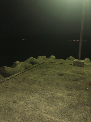 アジを求めて行ったのに、、