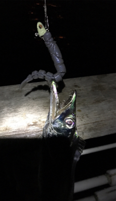 青、確保できず