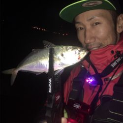 ヒイカゲームからの回遊アジング☆GUNNING-STYLE