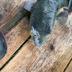 ポート田尻さんにて