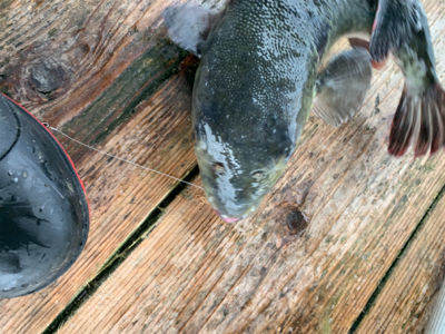 ポート田尻さんにて