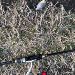 近所の中流域にて