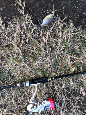 近所の中流域にて