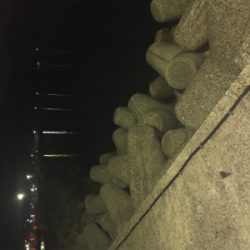 リベンジしたが、、