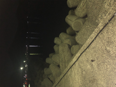 リベンジしたが、、