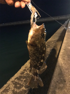 タチウオ引き釣り