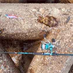 到着して直ぐ❗️